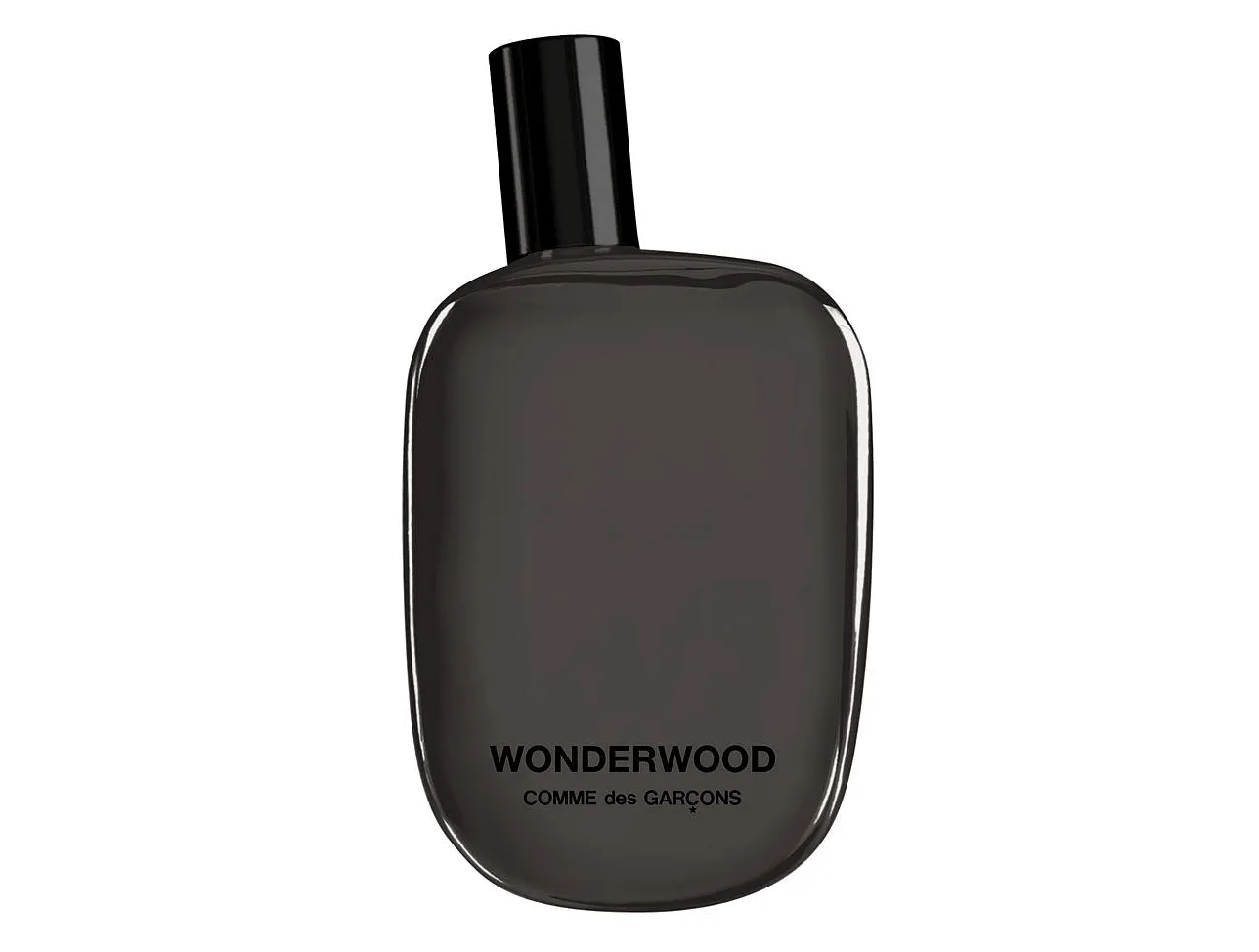 Comme des Garcons_Wonderwood